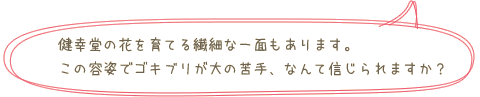 睦夫さんのコメント